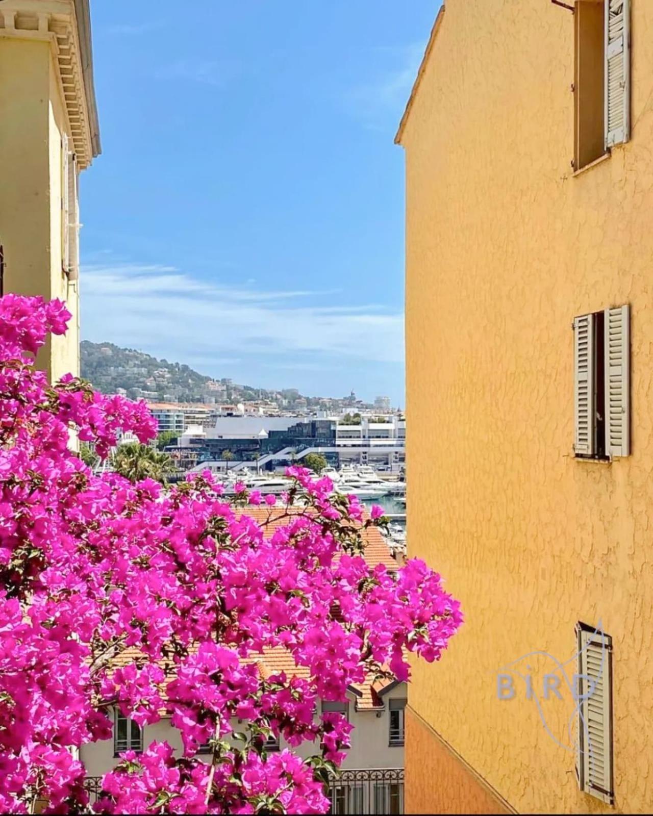 Hébergement de vacances Charming Town House In The Heart Of Suquet