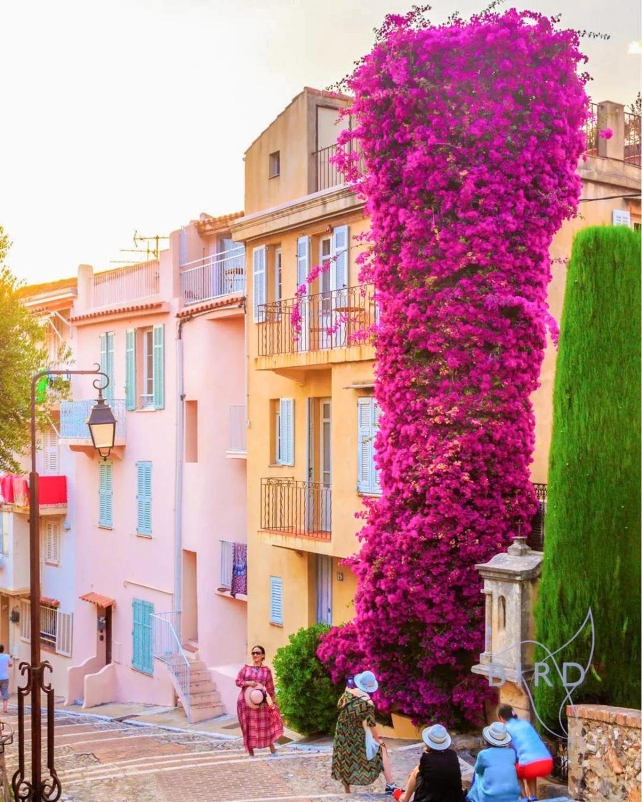 Hébergement de vacances Charming Town House In The Heart Of Suquet *